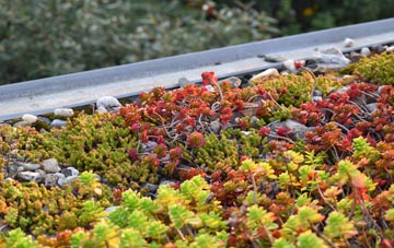 the cost of Lochwinnoch green roof installation