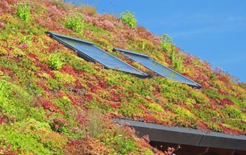 Lochwinnoch living roof systems